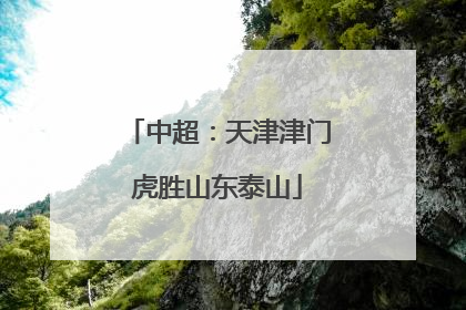 中超：天津津门虎胜山东泰山